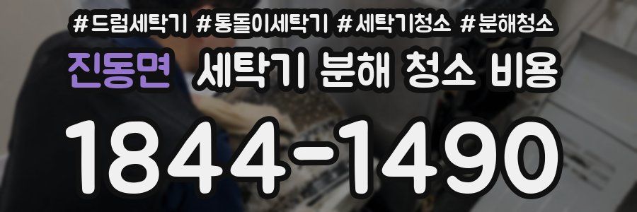 진동면 세탁기 분해 청소 비용