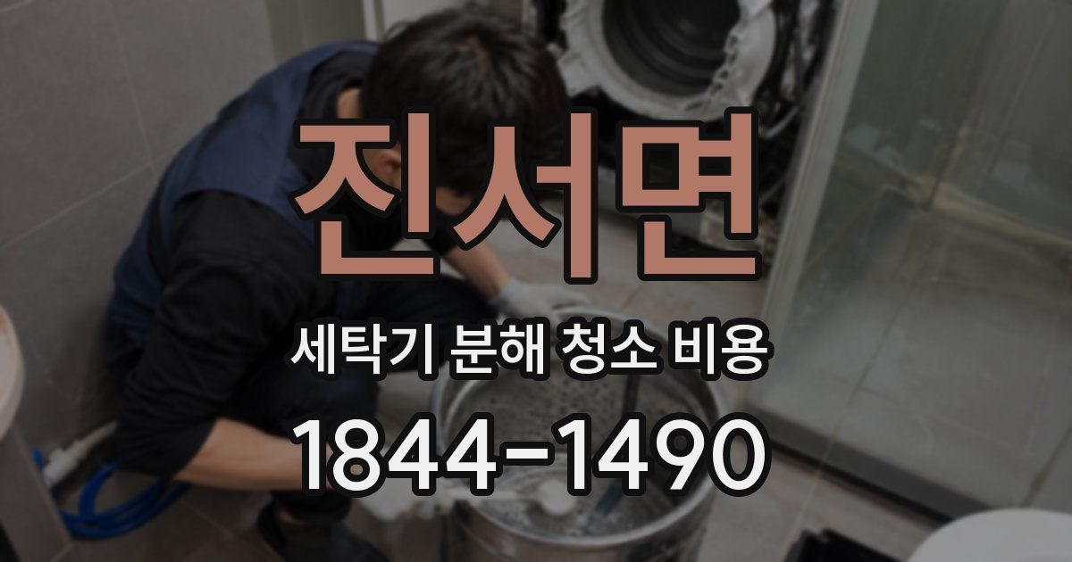 진서면 세탁기 분해 청소 비용