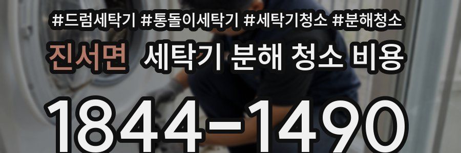 진서면 세탁기 분해 청소 비용