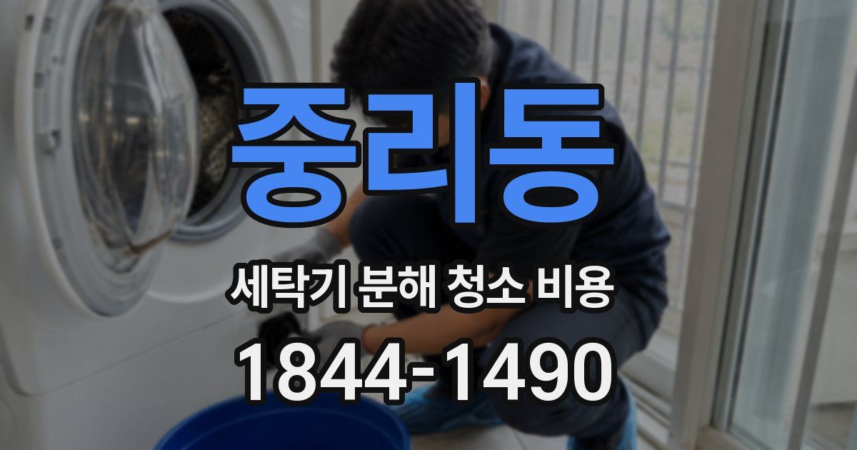 중리동 세탁기 분해 청소 비용