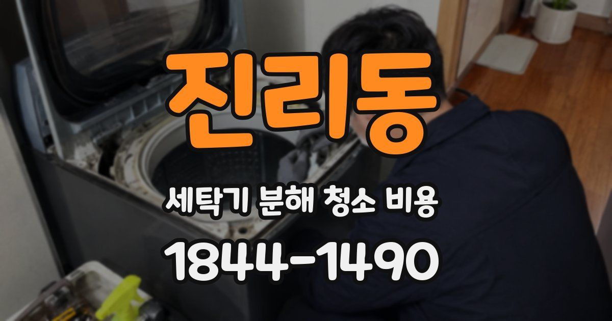 진리동 세탁기 분해 청소 비용