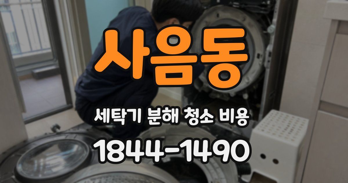사음동 세탁기 분해 청소 비용