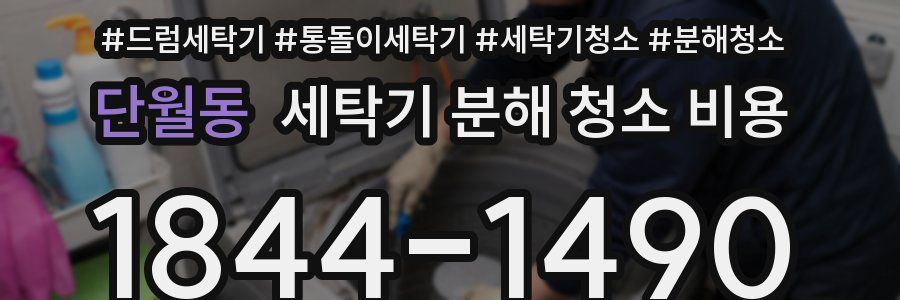 단월동 세탁기 분해 청소 비용