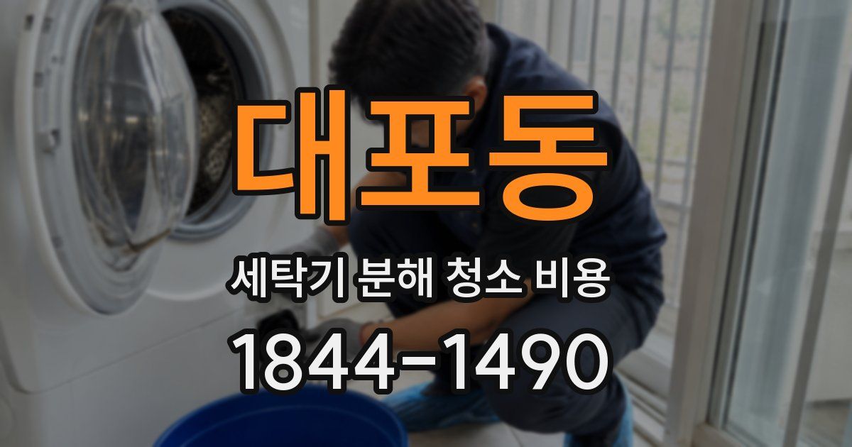 대포동 세탁기 분해 청소 비용