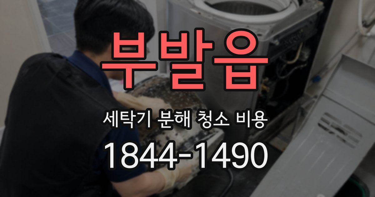 부발읍 세탁기 분해 청소 비용