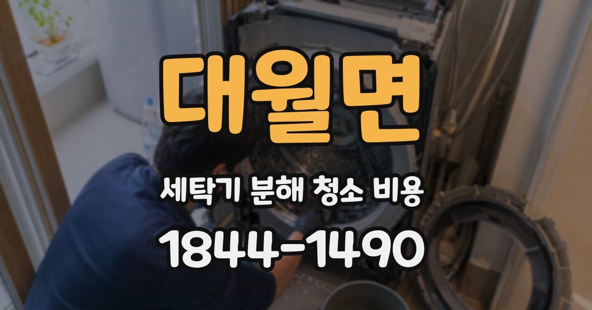 대월면 세탁기 분해 청소 비용