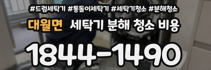 대월면 세탁기 분해 청소 비용