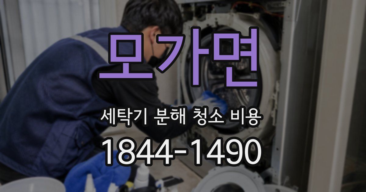 모가면 세탁기 분해 청소 비용