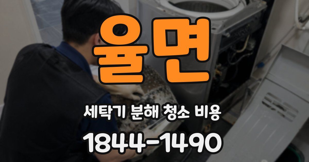 율면 세탁기 분해 청소 비용