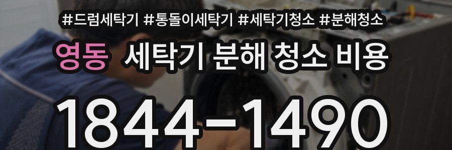 영동 세탁기 분해 청소 비용