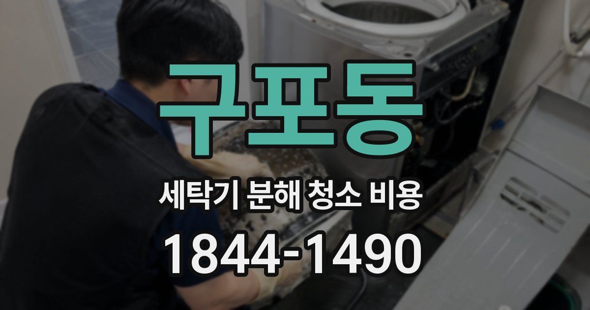 구포동 세탁기 분해 청소 비용