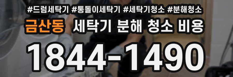 금산동 세탁기 분해 청소 비용