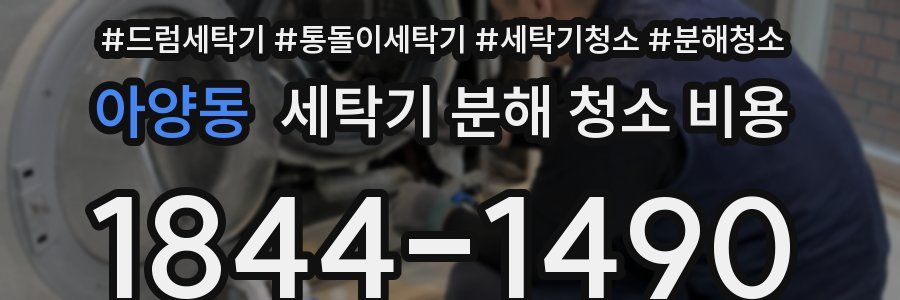 아양동 세탁기 분해 청소 비용
