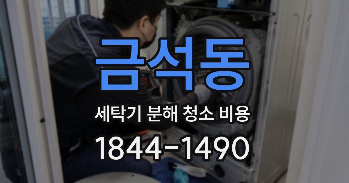 금석동 세탁기 분해 청소 비용