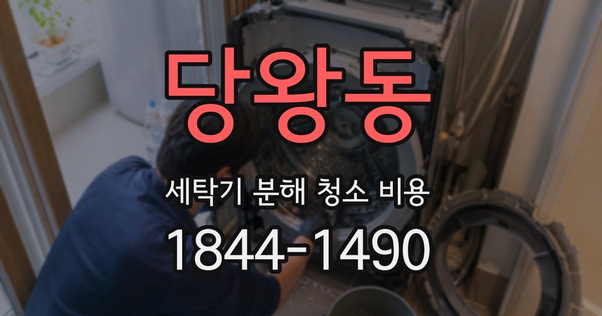 당왕동 세탁기 분해 청소 비용