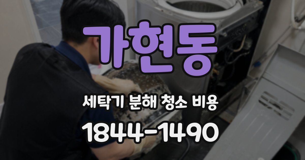 가현동 세탁기 분해 청소 비용