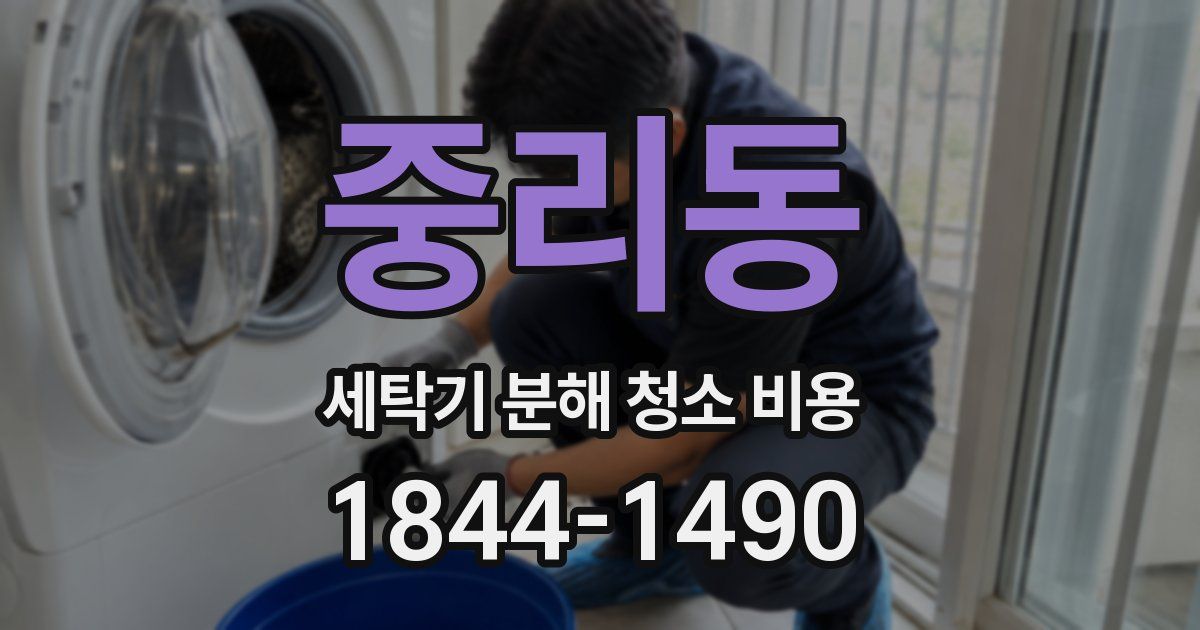 중리동 세탁기 분해 청소 비용