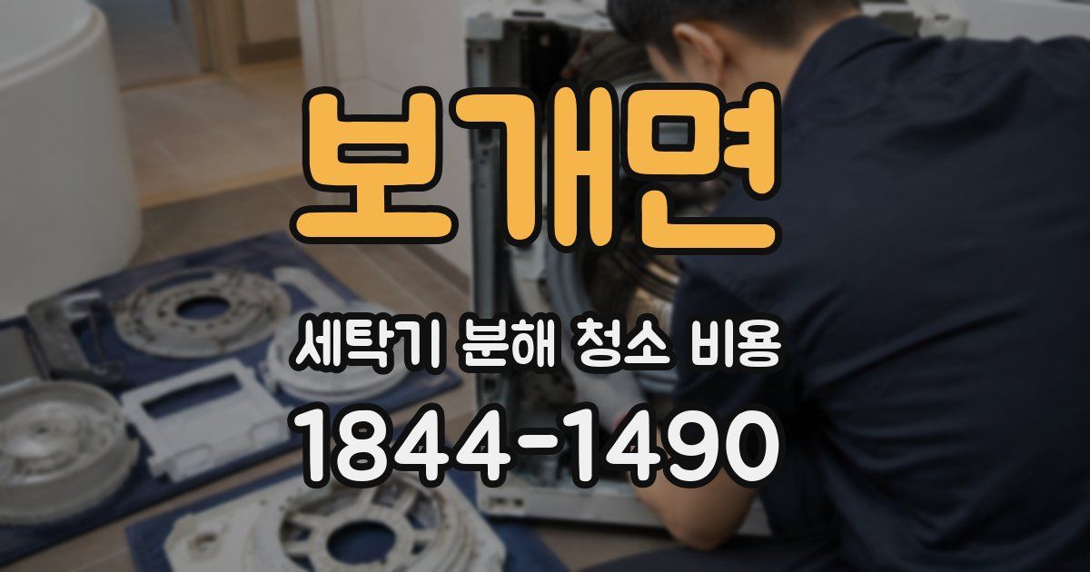 보개면 세탁기 분해 청소 비용