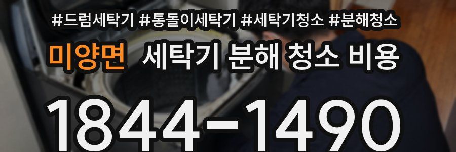 미양면 세탁기 분해 청소 비용