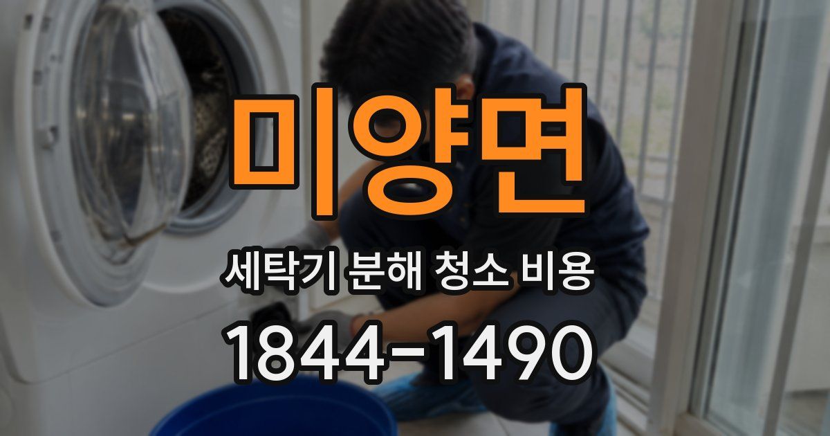 미양면 세탁기 분해 청소 비용