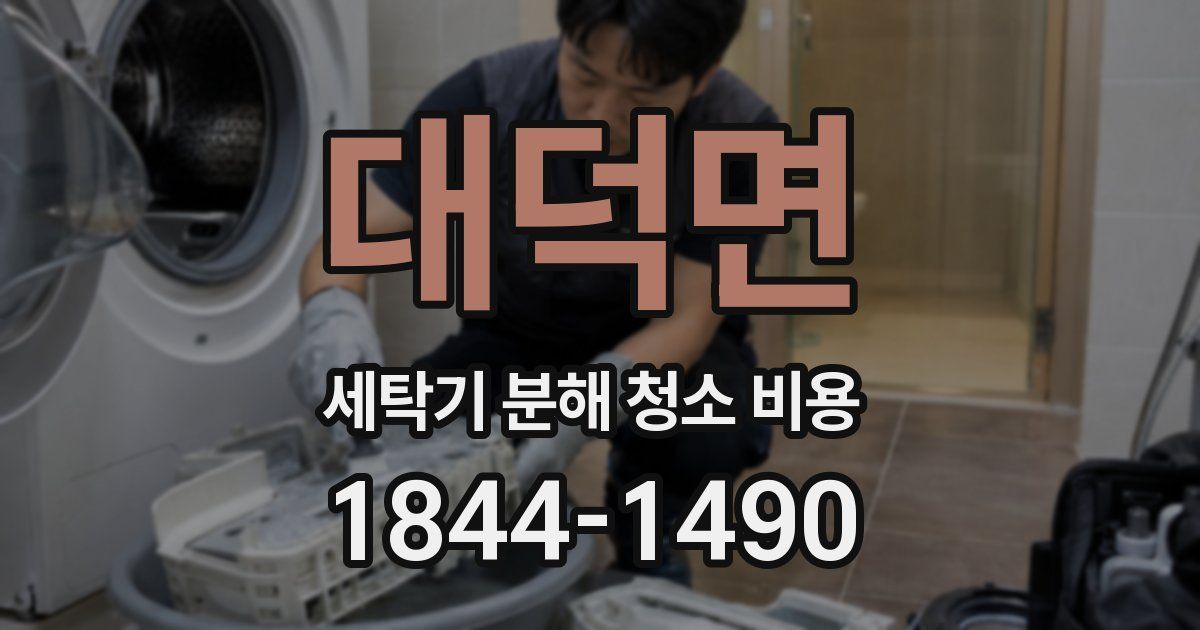 대덕면 세탁기 분해 청소 비용