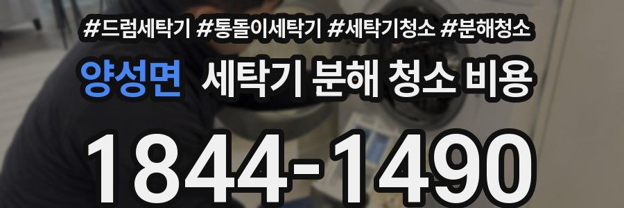 양성면 세탁기 분해 청소 비용