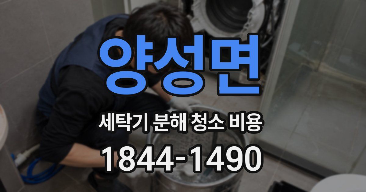 양성면 세탁기 분해 청소 비용
