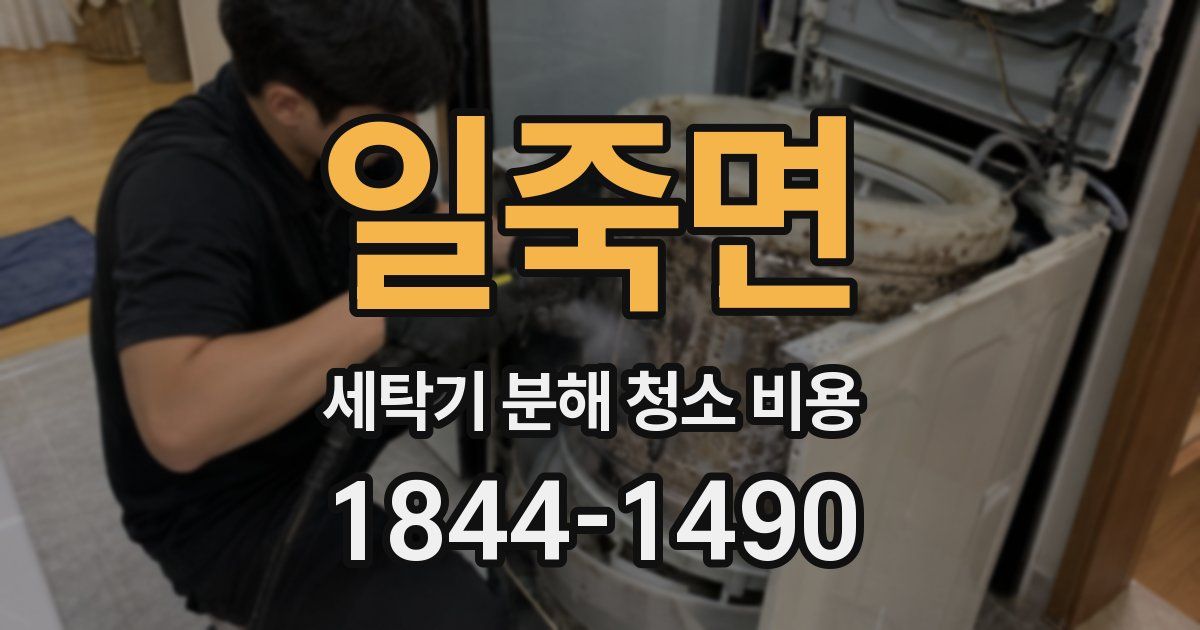 일죽면 세탁기 분해 청소 비용
