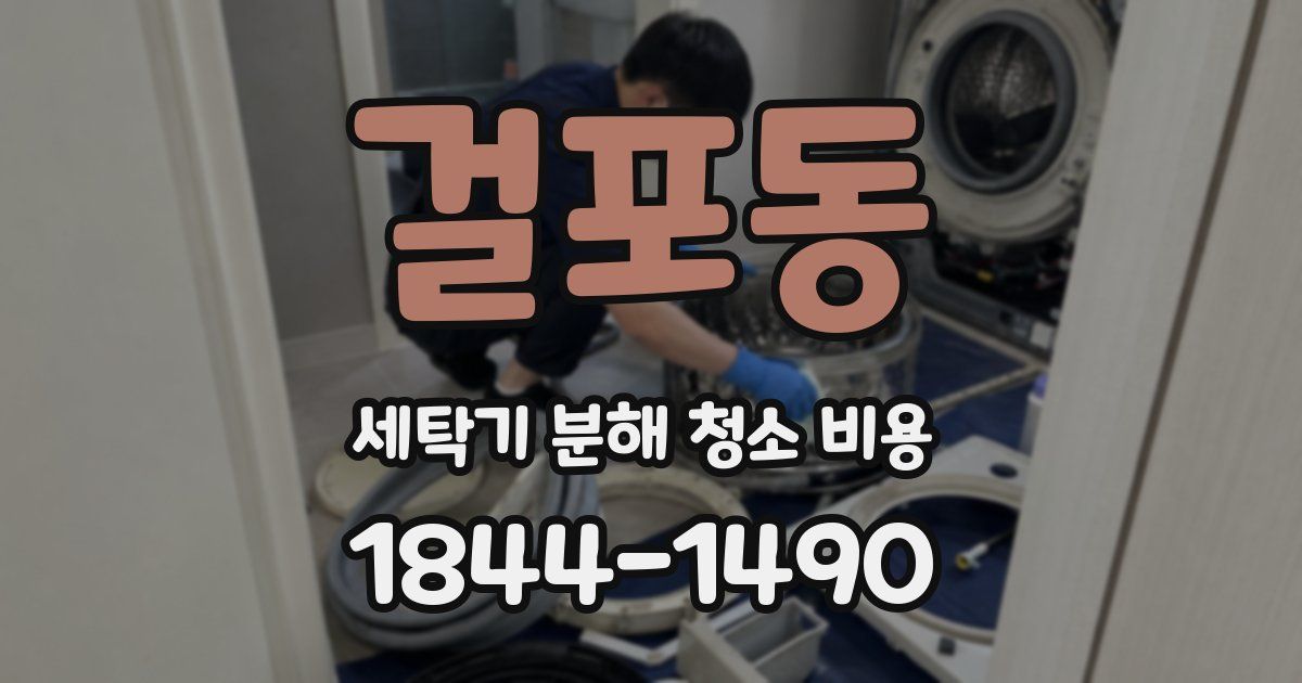 걸포동 세탁기 분해 청소 비용