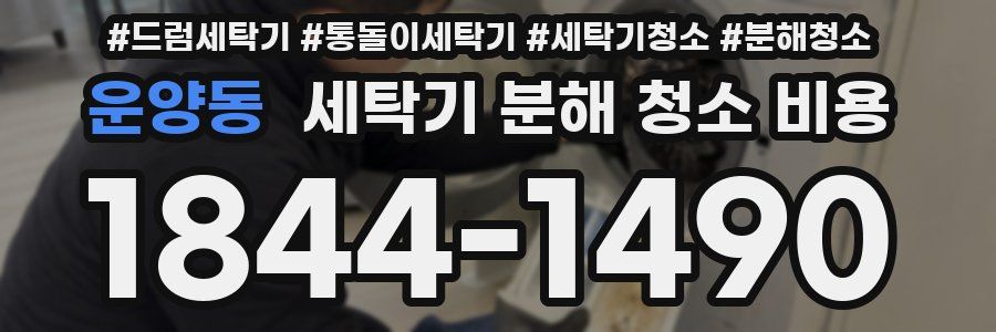 운양동 세탁기 분해 청소 비용