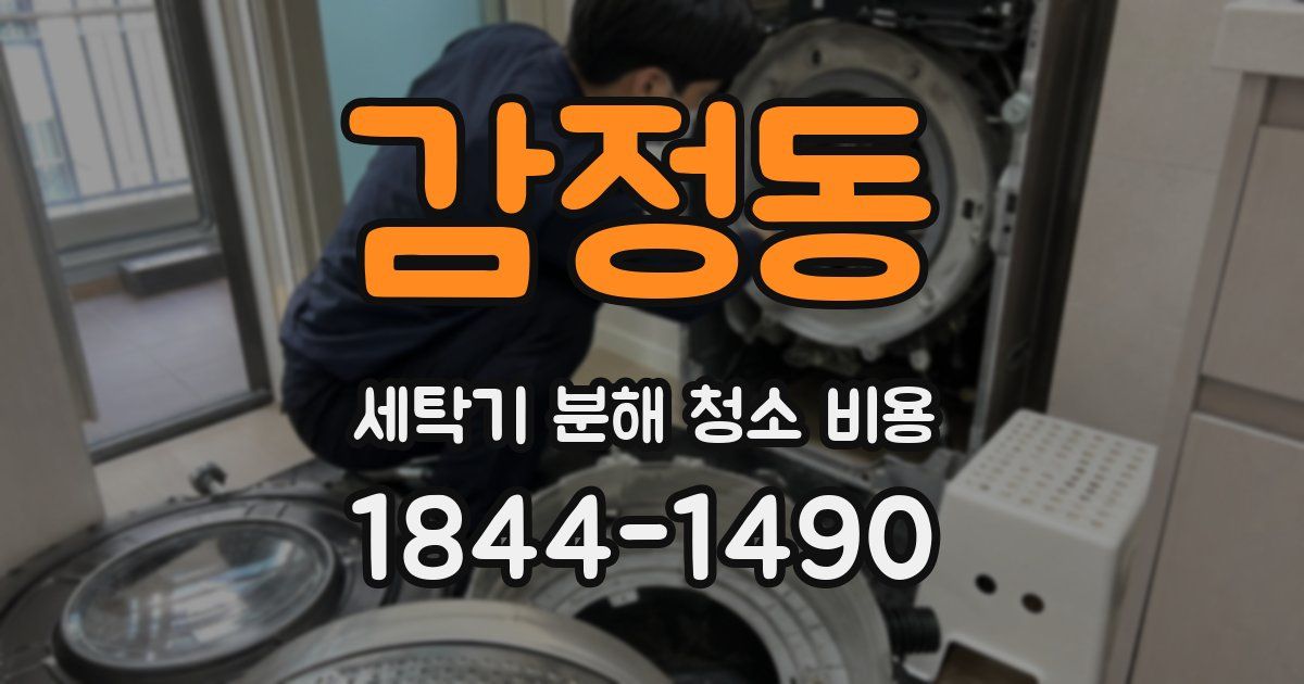 감정동 세탁기 분해 청소 비용