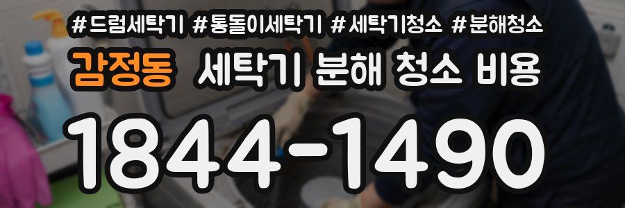 감정동 세탁기 분해 청소 비용