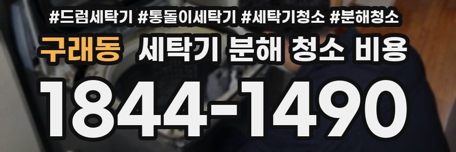 구래동 세탁기 분해 청소 비용