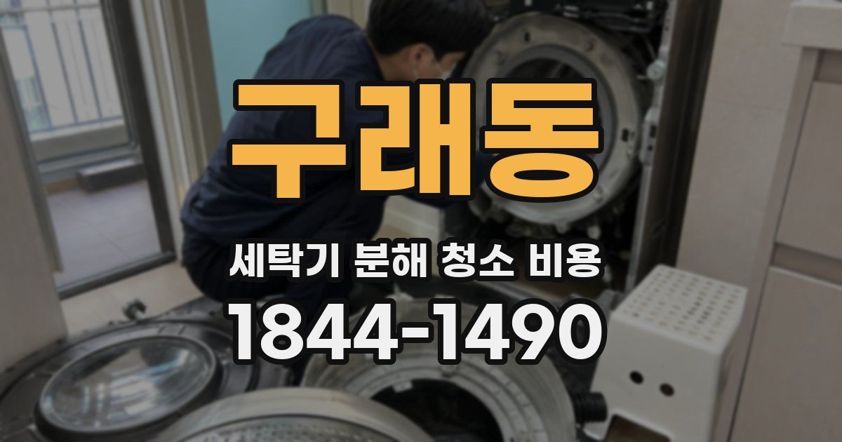 구래동 세탁기 분해 청소 비용