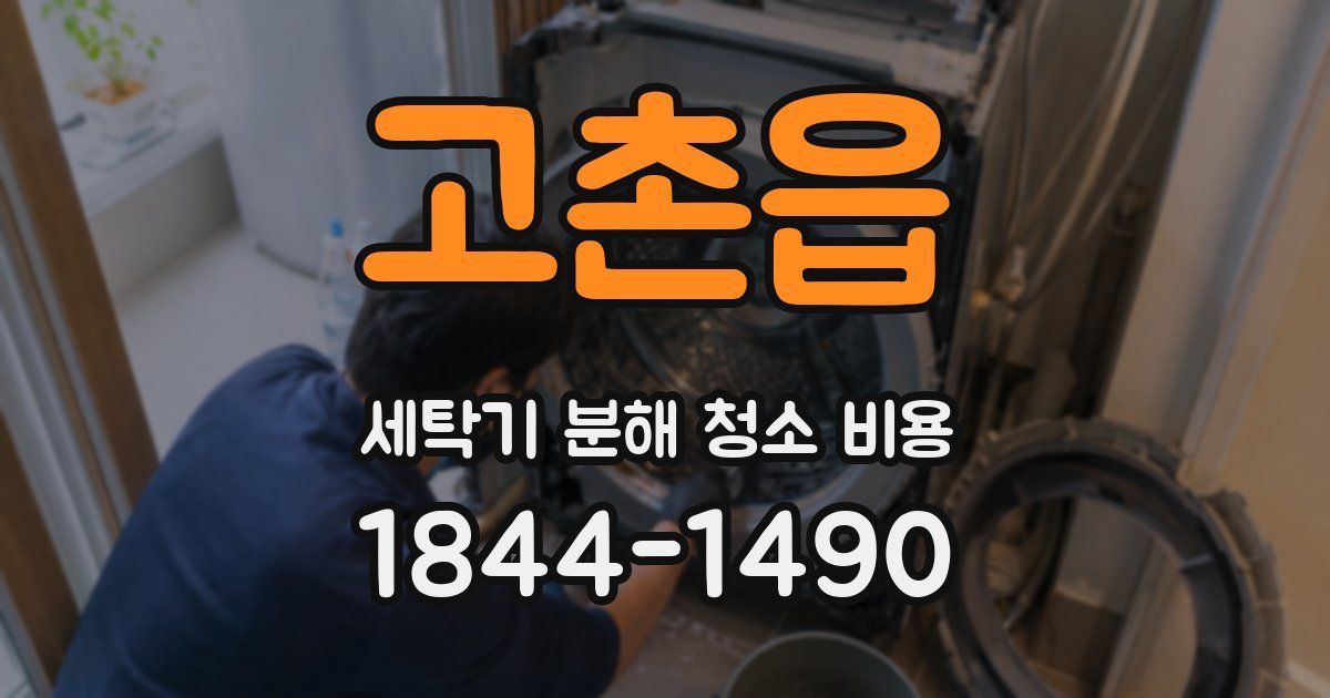 고촌읍 세탁기 분해 청소 비용
