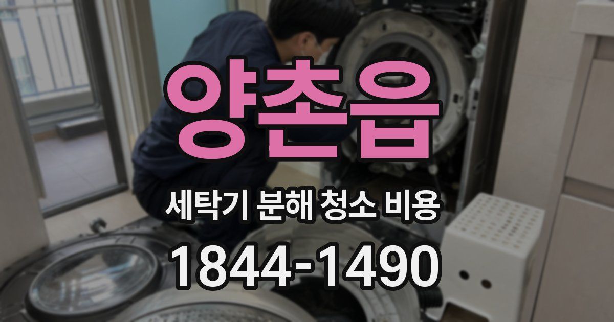 양촌읍 세탁기 분해 청소 비용