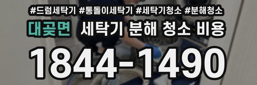 대곶면 세탁기 분해 청소 비용
