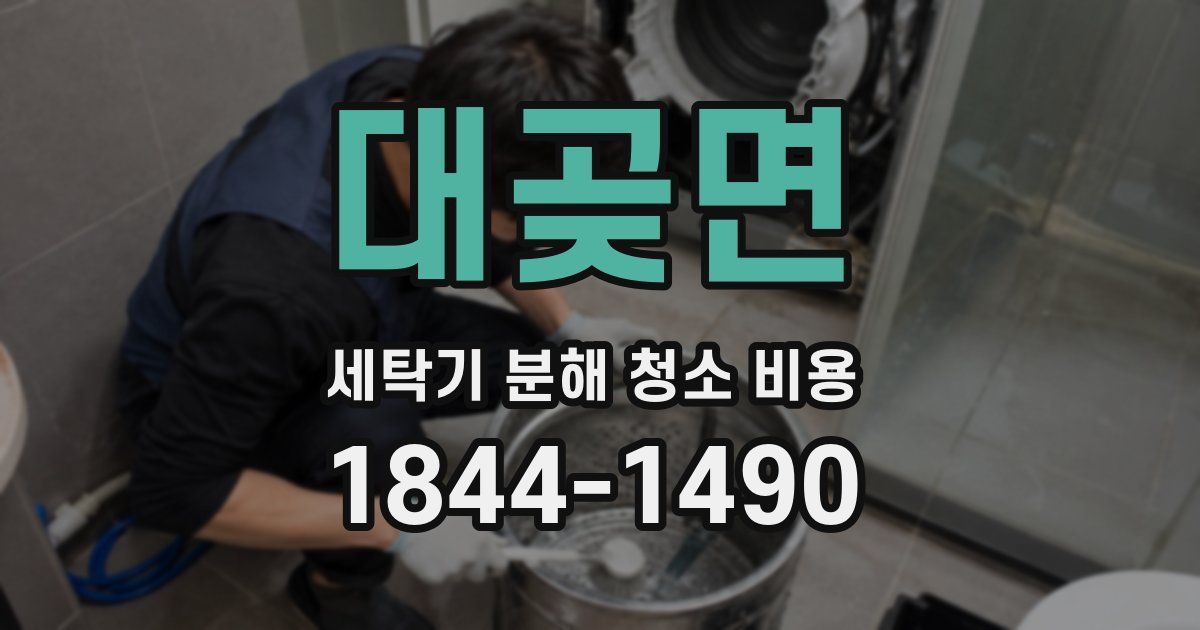 대곶면 세탁기 분해 청소 비용