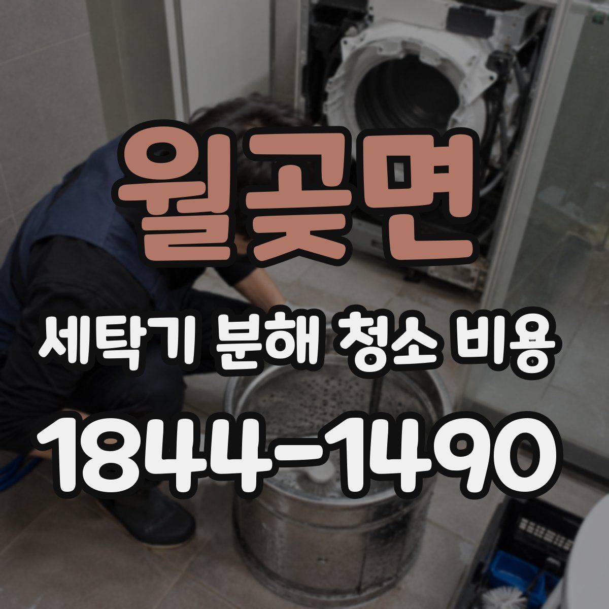월곶면 세탁기 분해 청소 비용