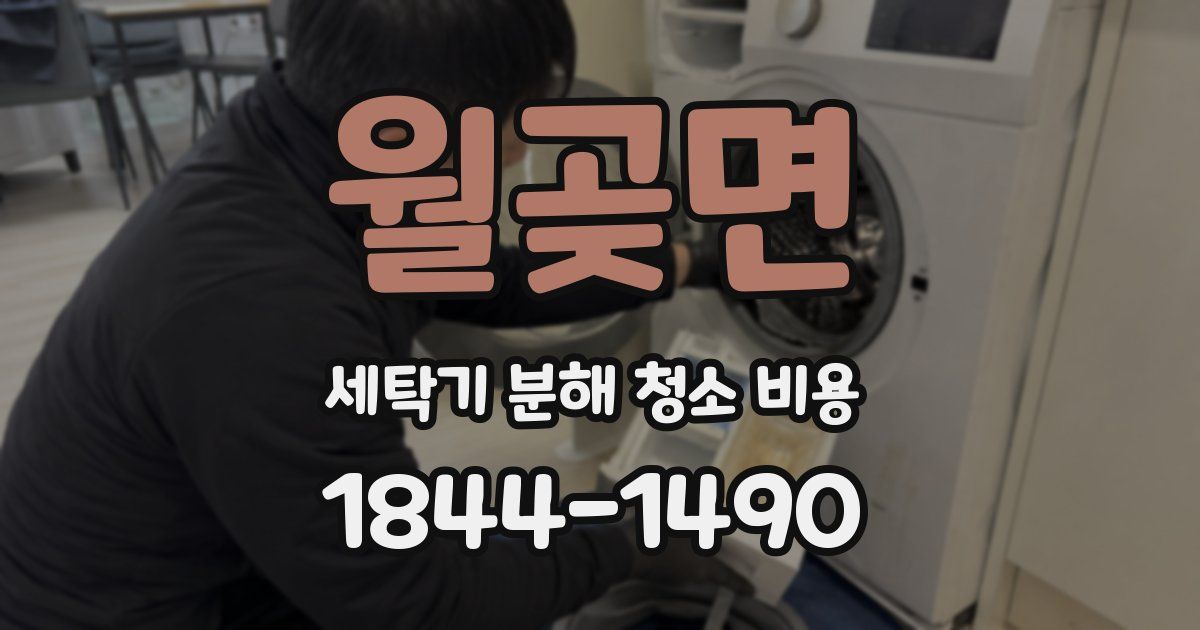 월곶면 세탁기 분해 청소 비용