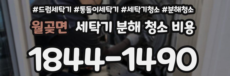 월곶면 세탁기 분해 청소 비용