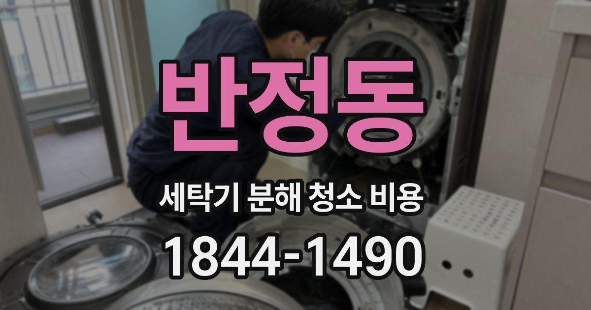 반정동 세탁기 분해 청소 비용