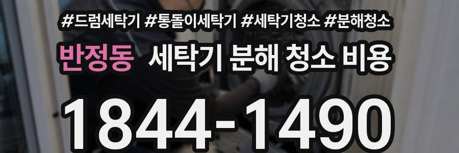 반정동 세탁기 분해 청소 비용