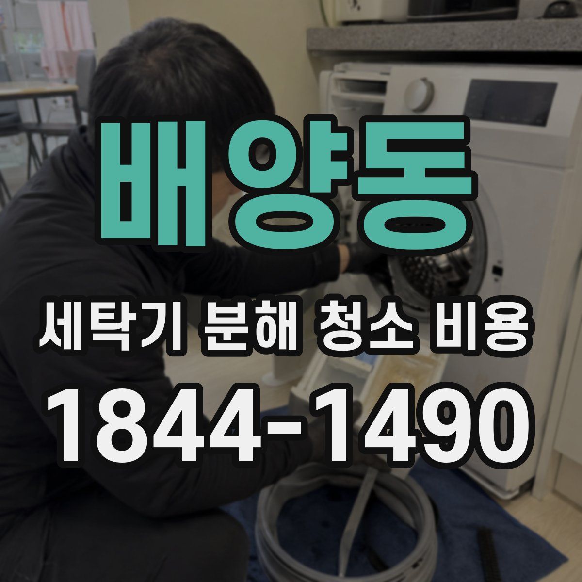 배양동 세탁기 분해 청소 비용