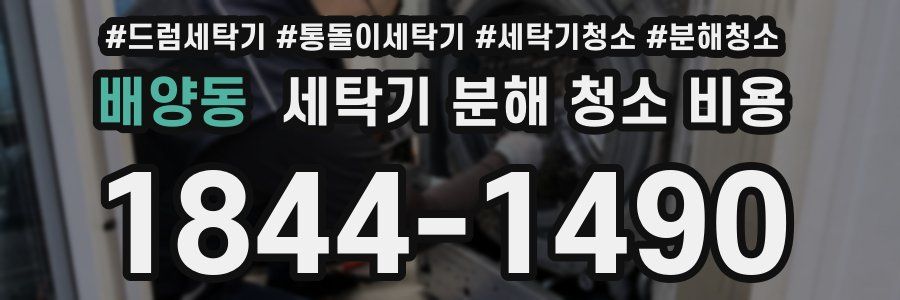 배양동 세탁기 분해 청소 비용
