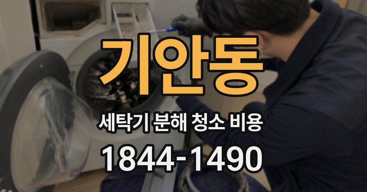 기안동 세탁기 분해 청소 비용