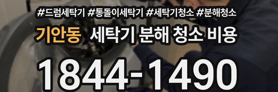 기안동 세탁기 분해 청소 비용