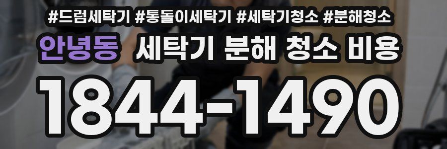 안녕동 세탁기 분해 청소 비용