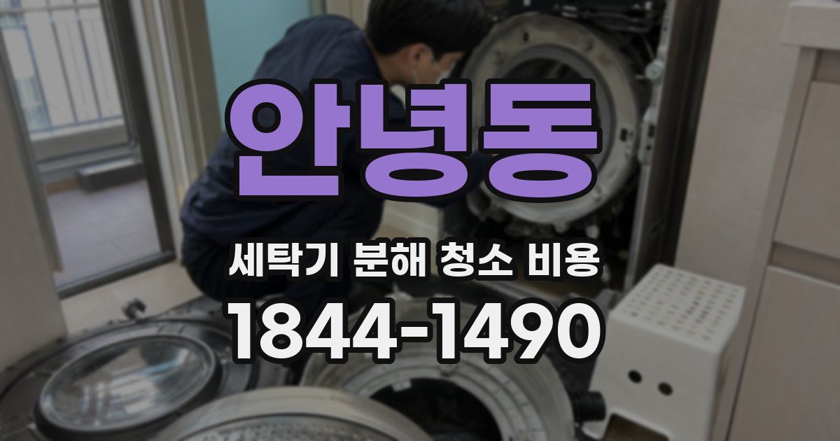 안녕동 세탁기 분해 청소 비용
