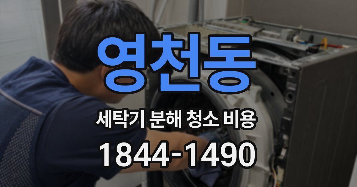 영천동 세탁기 분해 청소 비용